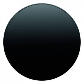 16202045 Клавиша цвет: черный глянцевый R.1/R.3 Berker фото