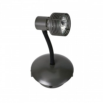 Настенно-потолочный светильник Lussole Loft LSP-9820 фото