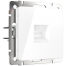 W1181001 Розетка Ethernet RJ-45 (белая) Antik Werkel a051136 фото